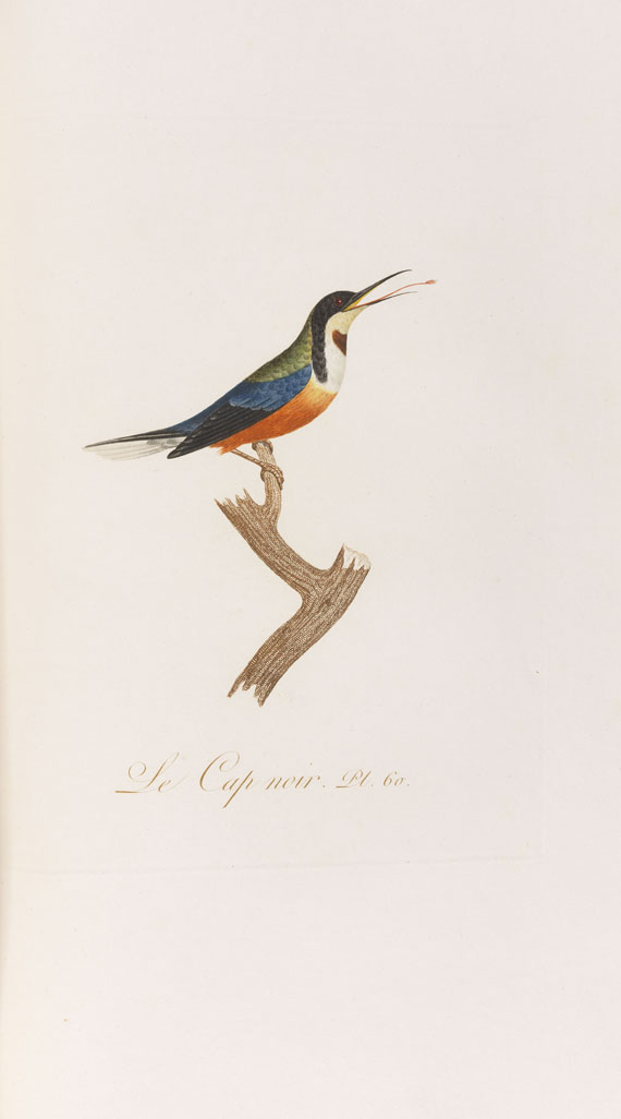 Jean Baptiste Audebert - Oiseaux dorés ou reflets métalliques. 1802. 2 Bde.. - 