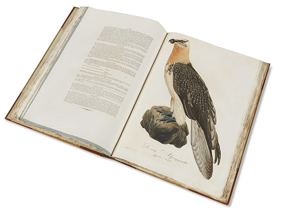 Johann Conrad Susemihl - Teutsche Ornithologie. 1800-1817. 2 Bde.. - 