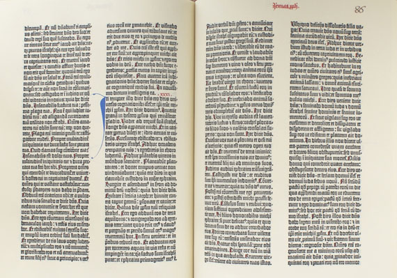 Gutenberg-Bibel - Faks.: Gutenberg-Bibel. 2 Bde.