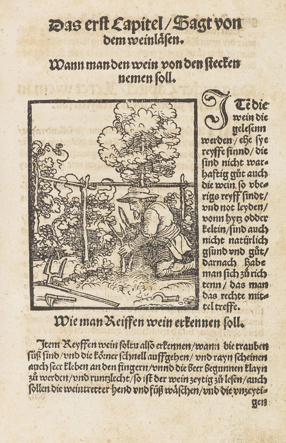 Kellermaisterey 1536 - Kellermaisterey. Augsburg 1536..