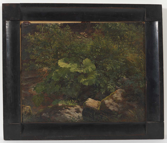 Gustav Friedrich Papperitz - Pflanzenstudie - Frame image