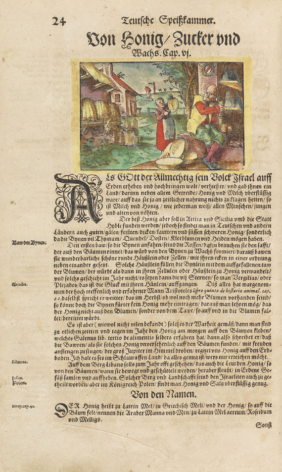 Hieronymus Bock - Kräutterbuch. 1630