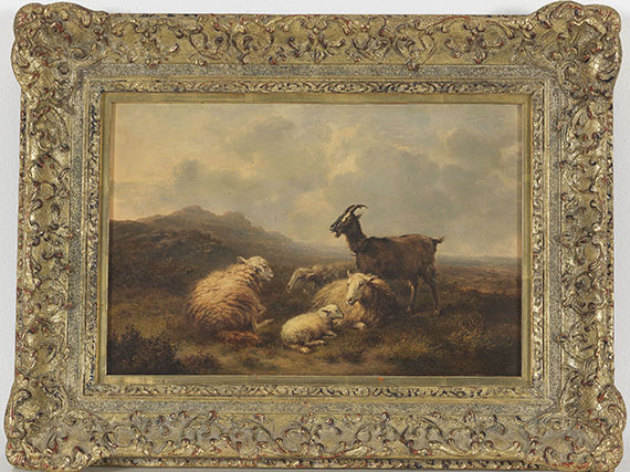 Verboeckhoven - Schafe und Ziegen auf der Weide