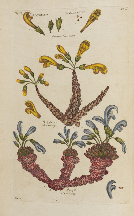 John Hill - Vegetable System. 13 Bde. 1775. - 
