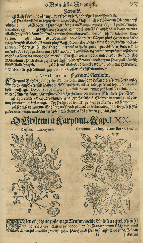 Pietro Andrea Mattioli - Herbar aneb Bylinar. 5 Bde. 1596