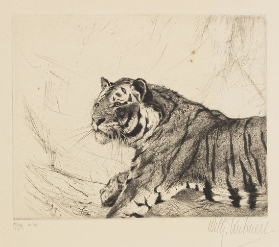 Wilhelm Kuhnert - 4 Bll: Indischer Elefant. Tiger. Löwen. Löwe sitzend - 