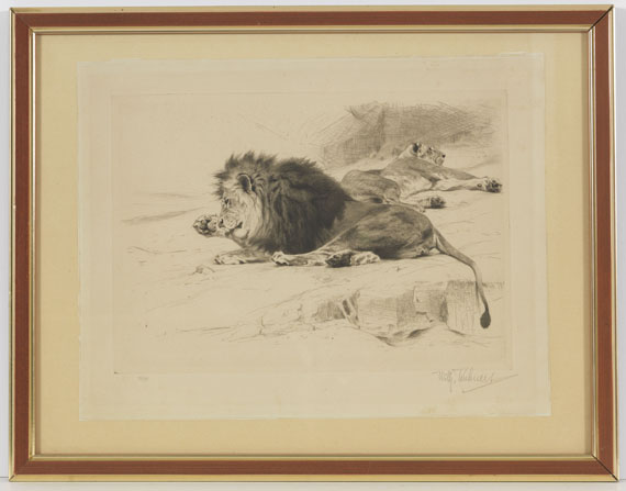 Wilhelm Kuhnert - 3 Bll.: Ruhende Löwen. Afrikanisches Nashorn. Elch - Frame image
