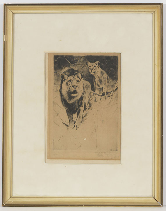 Wilhelm Kuhnert - 4 Bll: Indischer Elefant. Tiger. Löwen. Löwe sitzend