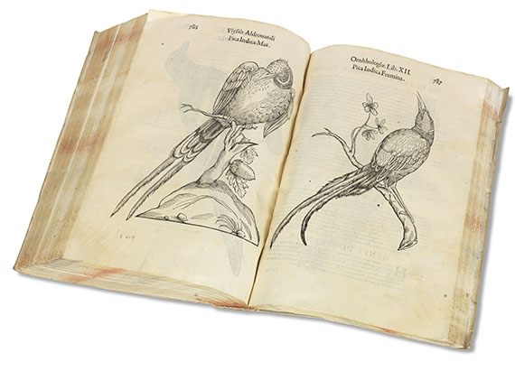 Ulisse Aldrovandi - Ornithologiae. 1599 - 