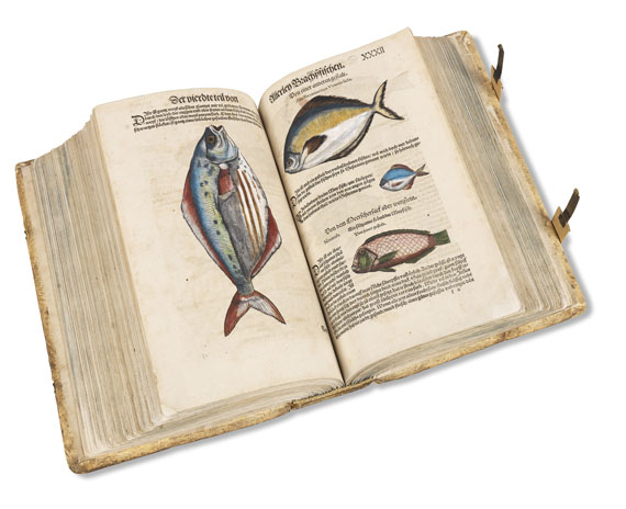 Conrad Gesner - Vogelbuch - Fischbuch. 2 in 1 Bd.