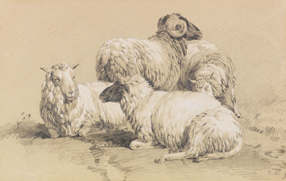 Benno R. Adam - Vier Schafe