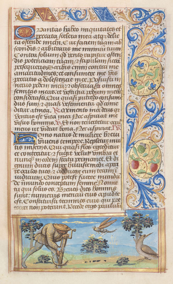  Manuskripte - Stundenbuch. Paris, um 1510. - 