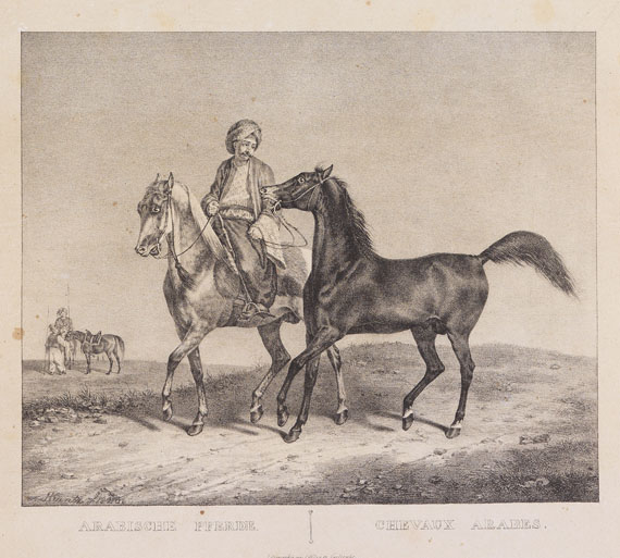 Rudolf Kuntz - Abbildungen saemtlicher Pferde-Racen
