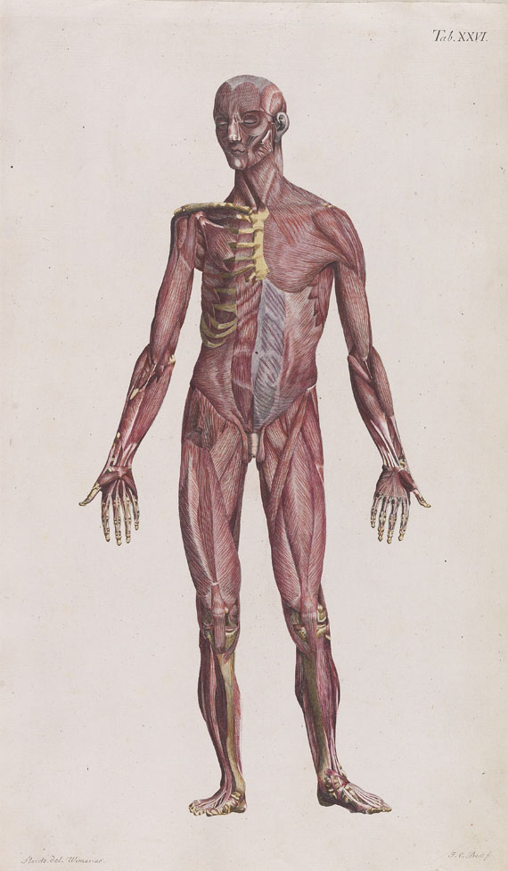 Ferdinand Justus Christian Loder - Anatomische Tafeln. 2 Bde.