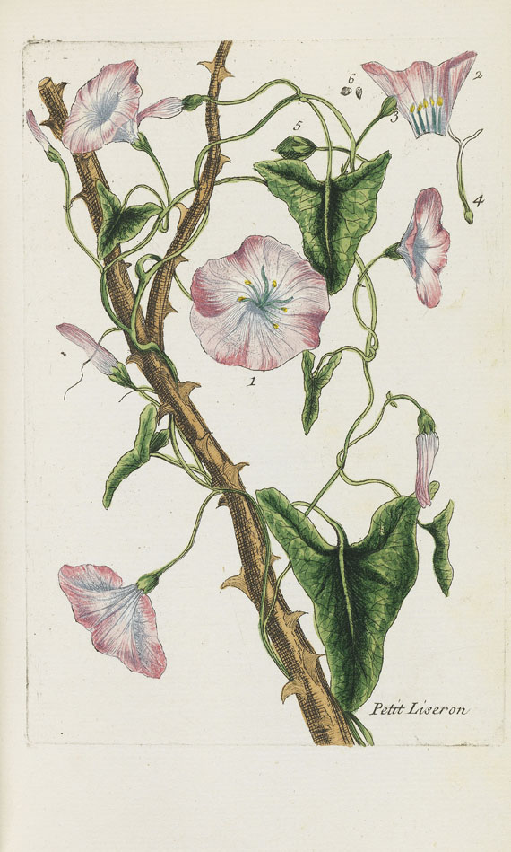 Pierre Bulliard - Flora Parisiensis. 6 Bände
