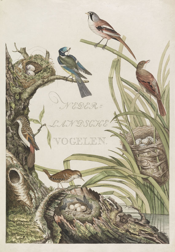 Cornelius Nozeman - Nederlandsche vogelen. 5 Bände, ungebunden in Kassetten - 