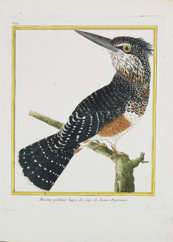 Georges Louis Leclerc Buffon - Histoire naturelle des oiseaux. 3 Kassetten - 