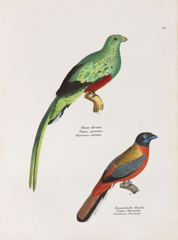 Heinrich Rudolf Schinz - Naturgeschichte der Vögel. 2 Bde. - 