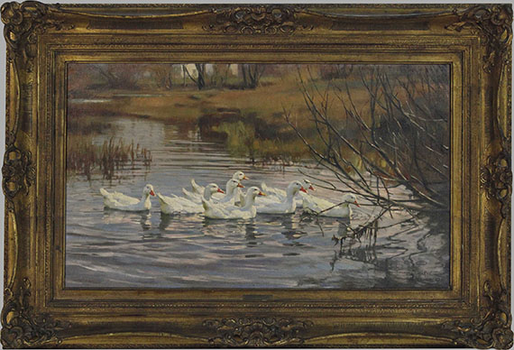 Franz Gräßel - Weiße Enten im Wasser - Frame image