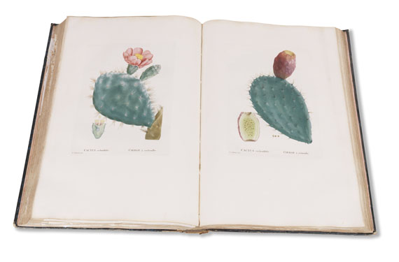 Augustin-Pyrame de Candolle - Plantarum historia. 2 Bände - 