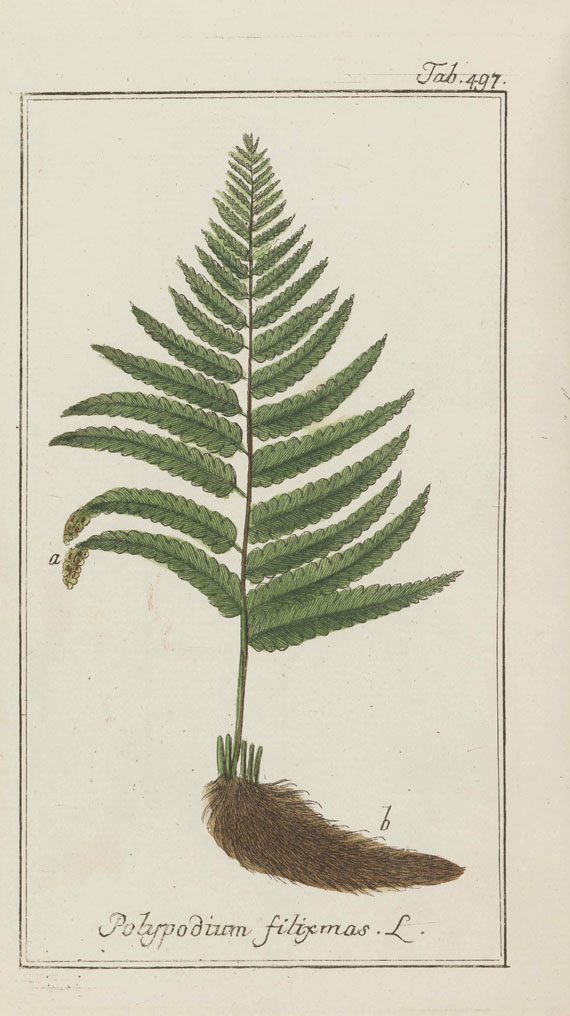 Johannes Zorn - Icones plantarum medicinalium. 4 Bände