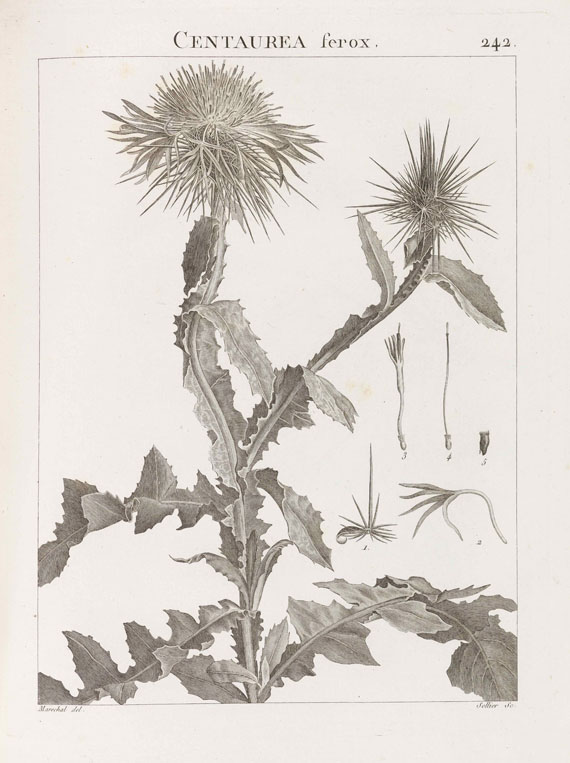 René Desfontaines - Flora Atlantica. 2 Text- und 2 Tafelbände
