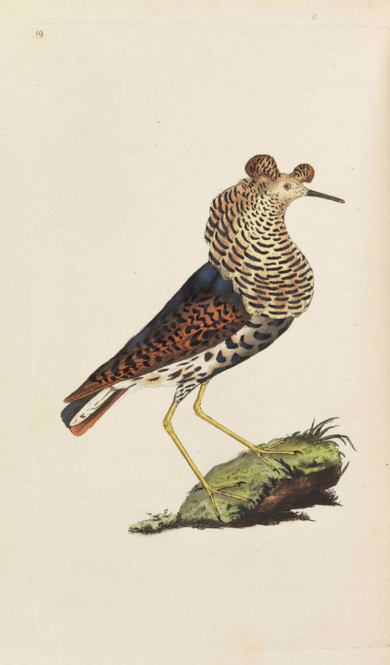 Edward Donovan - The natural history of British birds. 5 Bände
