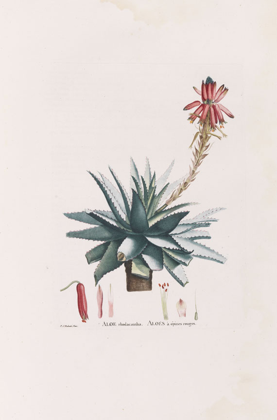 Augustin-Pyrame de Candolle - Plantarum historia. 2 Bände