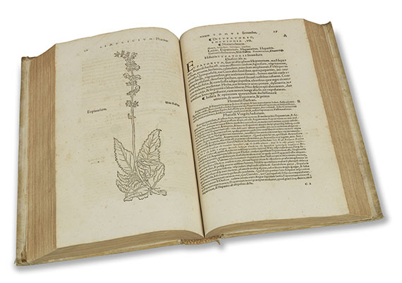 Otto Brunfels - Herbarum vivae eicones, 2 in 1 Band - 