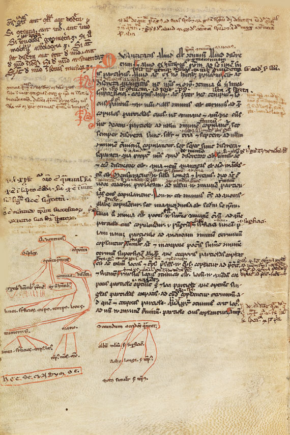  Aristoteles - Logica vetus, Pergamenthandschrift - 