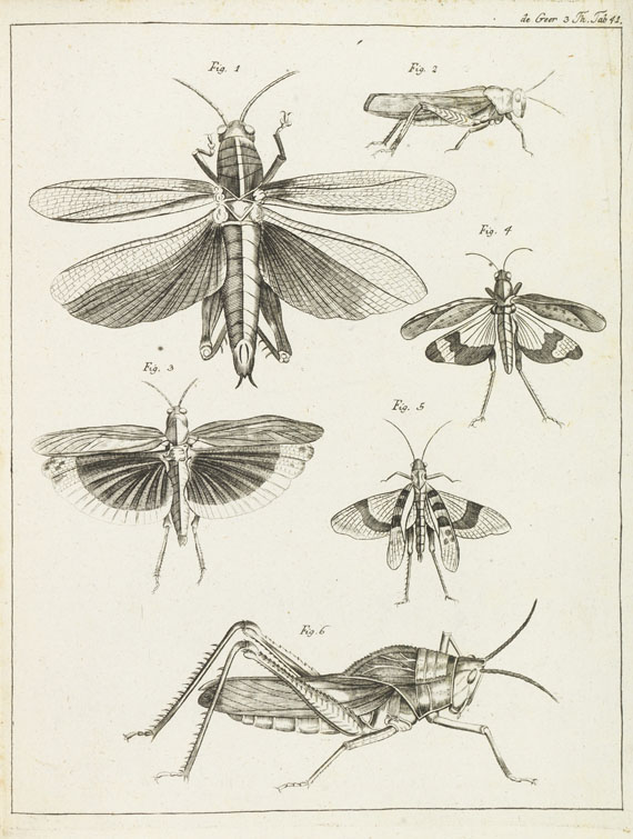 Charles de Geer - Abhandlungen zur Geschichte der Insekten. 5 Tle. in 4 Bänden