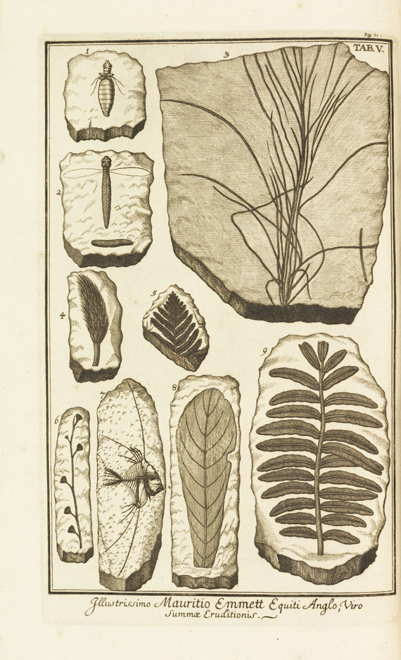 Johann Jakob Scheuchzer - Herbarium
