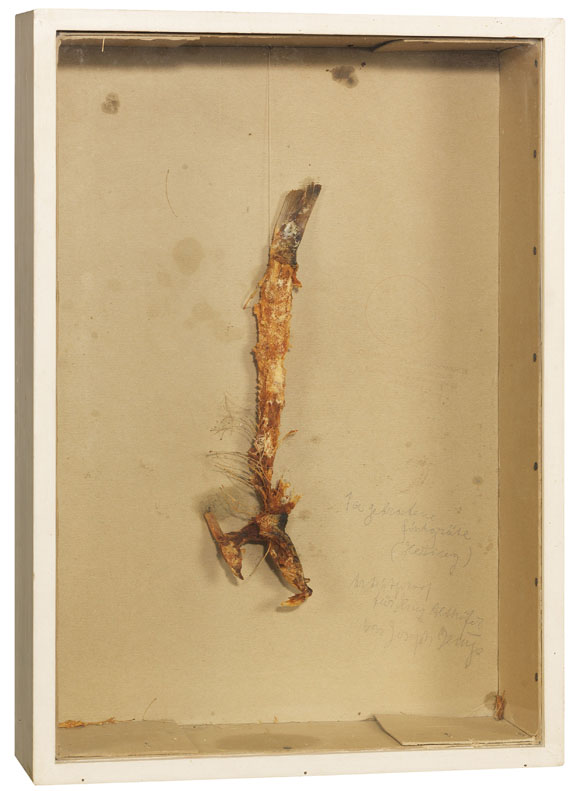 Joseph Beuys - 1a gebratene Fischgräte (Hering)