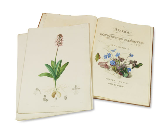 Georg Friedrich Wilhelm Meyer - Flora des Flora des Königreichs Hannover - 