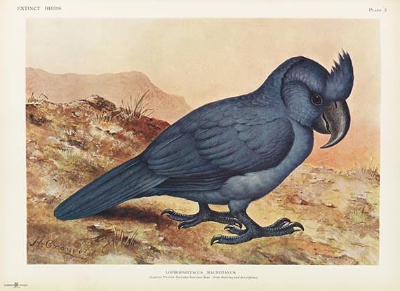Lionel Walter Rothschild - Extinct birds