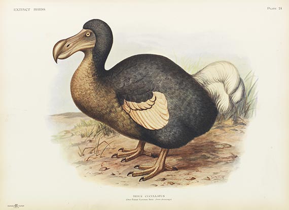 Lionel Walter Rothschild - Extinct birds