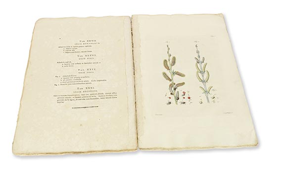 Georg Franz Hoffmann - Historia salicum iconibus illustrata - 