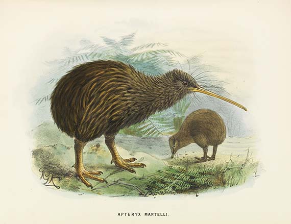 Walter Lawry Buller - A History of the Birds of New Zealand. Mit Begleitbrief an F. v. Hochstetter. - 