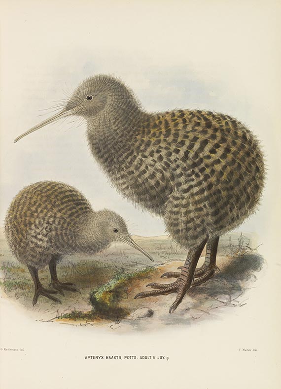 George Dawson Rowley - Ornithological Miscellany. 3 Bände - 