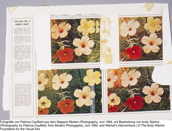 Andy Warhol - Flowers (10 Blatt) - 