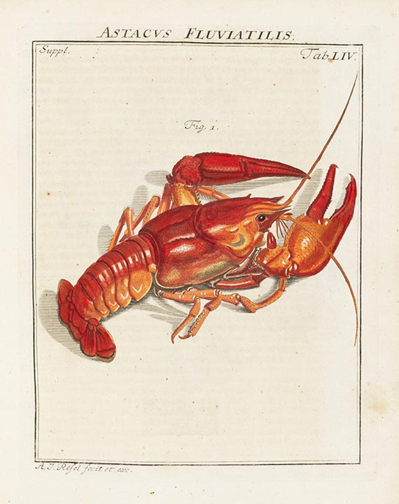 Augustin Johann Rösel von Rosenhof - Insecten-Belustigung. 4 Bände - 