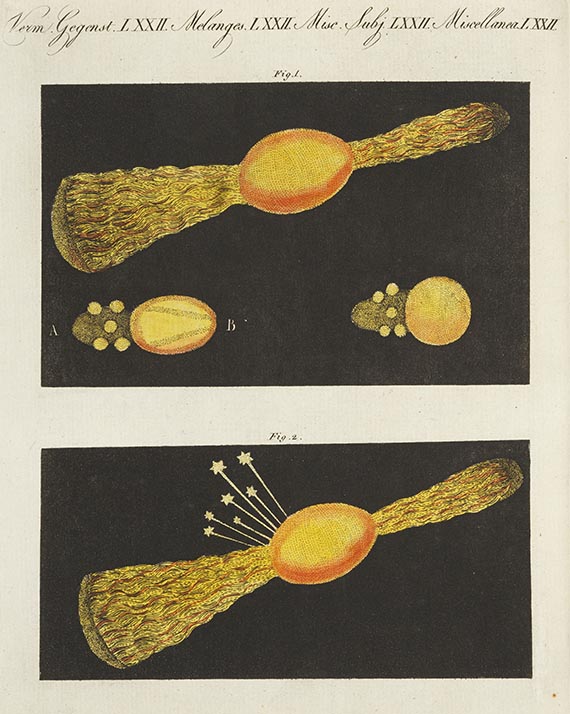 Friedrich Johann Justin Bertuch - Bilderbuch für Kinder. Bde. I-XI sowie Funke, Bde. I-XXIV. 10 Beigaben. - 