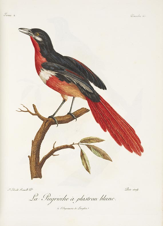 Francois Levaillant - Histoire naturelle des oiseaux d'Afrique - 