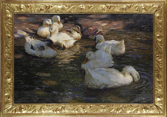 Alexander Koester - 9 Enten im Abendlicht - Frame image