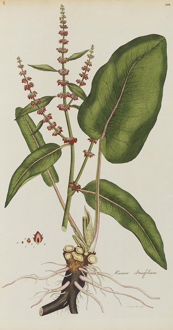 William Curtis - Flora Londinensis