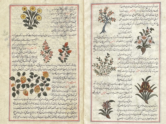  Manuskripte - Farrukh-nama-i Dschamali. Persische Handschrift auf Papier - 