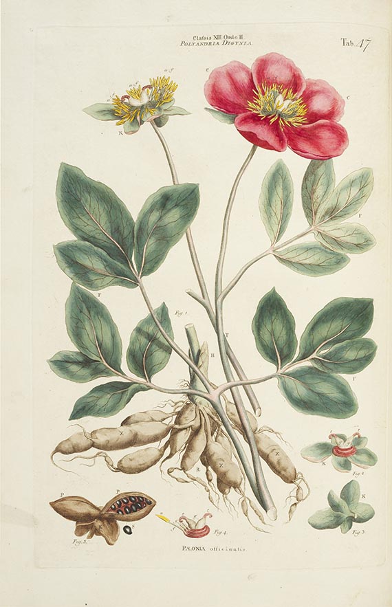 John Miller - Illustratio systematis sexualis Linneai - 