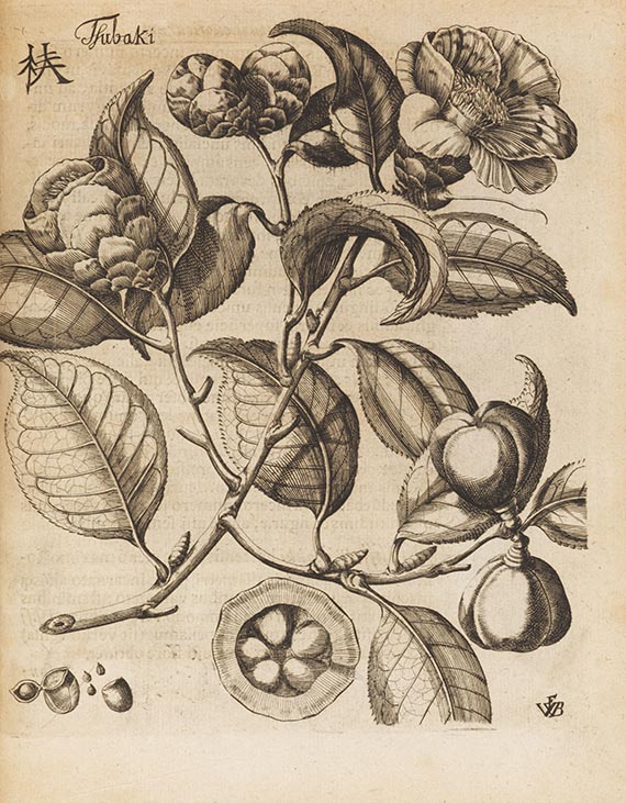 Engelbert Kaempfer - Amoenitatum exoticarum - 