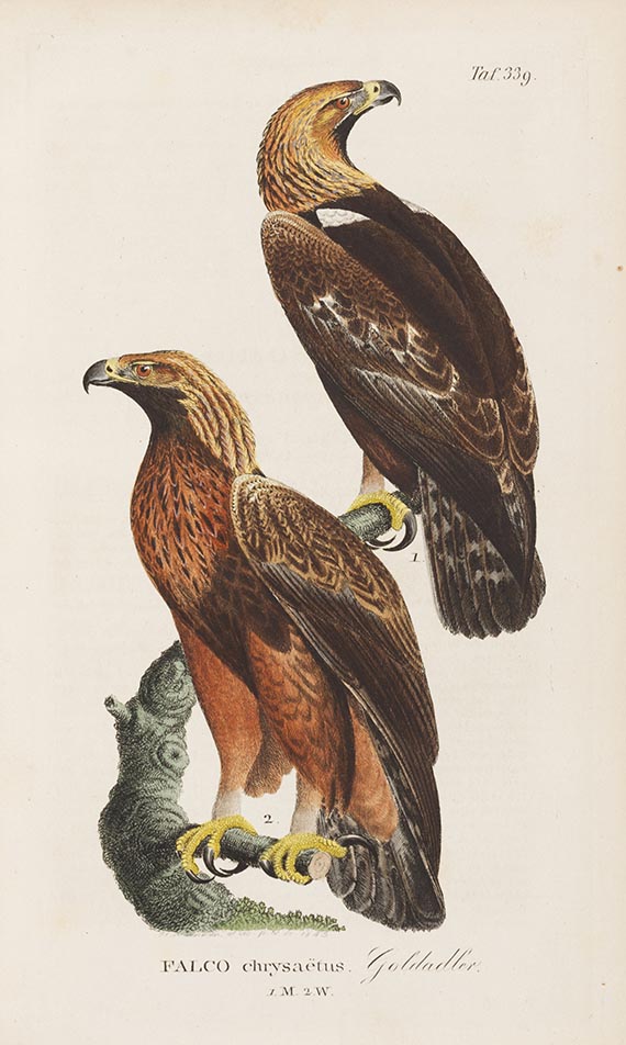 Johann Andreas Naumann - Naturgeschichte der Vögel Deutschlands. 13 Bände - 