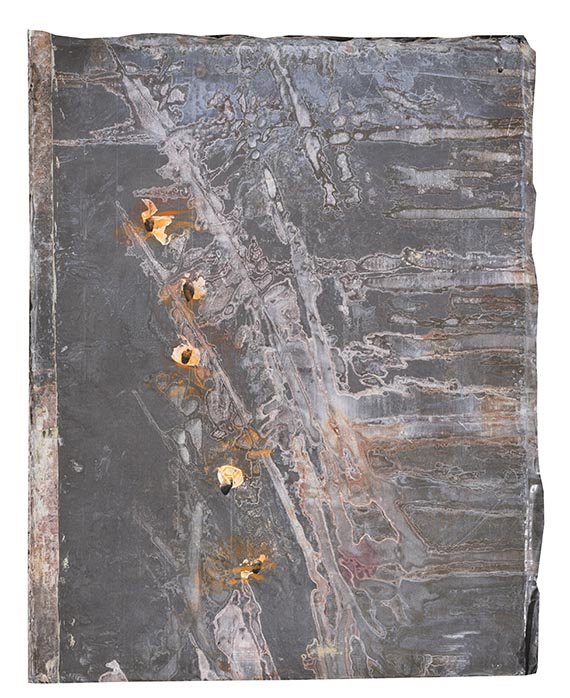 Anselm Kiefer - Blutblume - 